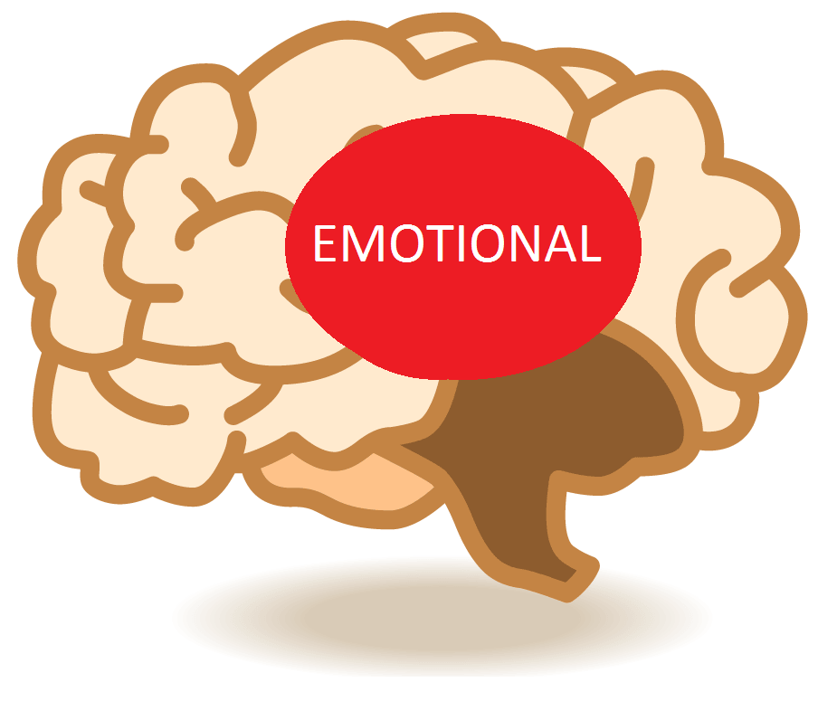emotional side of our brain